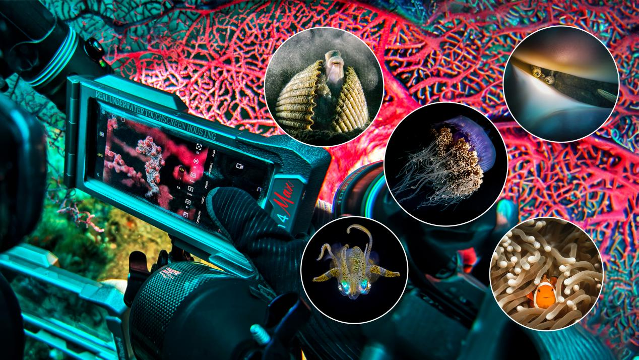 Underwater photography using Divevolk products