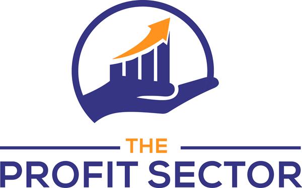 Featured Image for The Profit Sector
