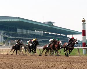 Belmont Park will feature Montauk's craft beers on the third floor until July 9, 2023. At Saratoga Race Course, Montauk Brewing will be showcased in the backyard and Taste NY Pavilion from July 13, 2023, to Labor Day, September 4, 2023.