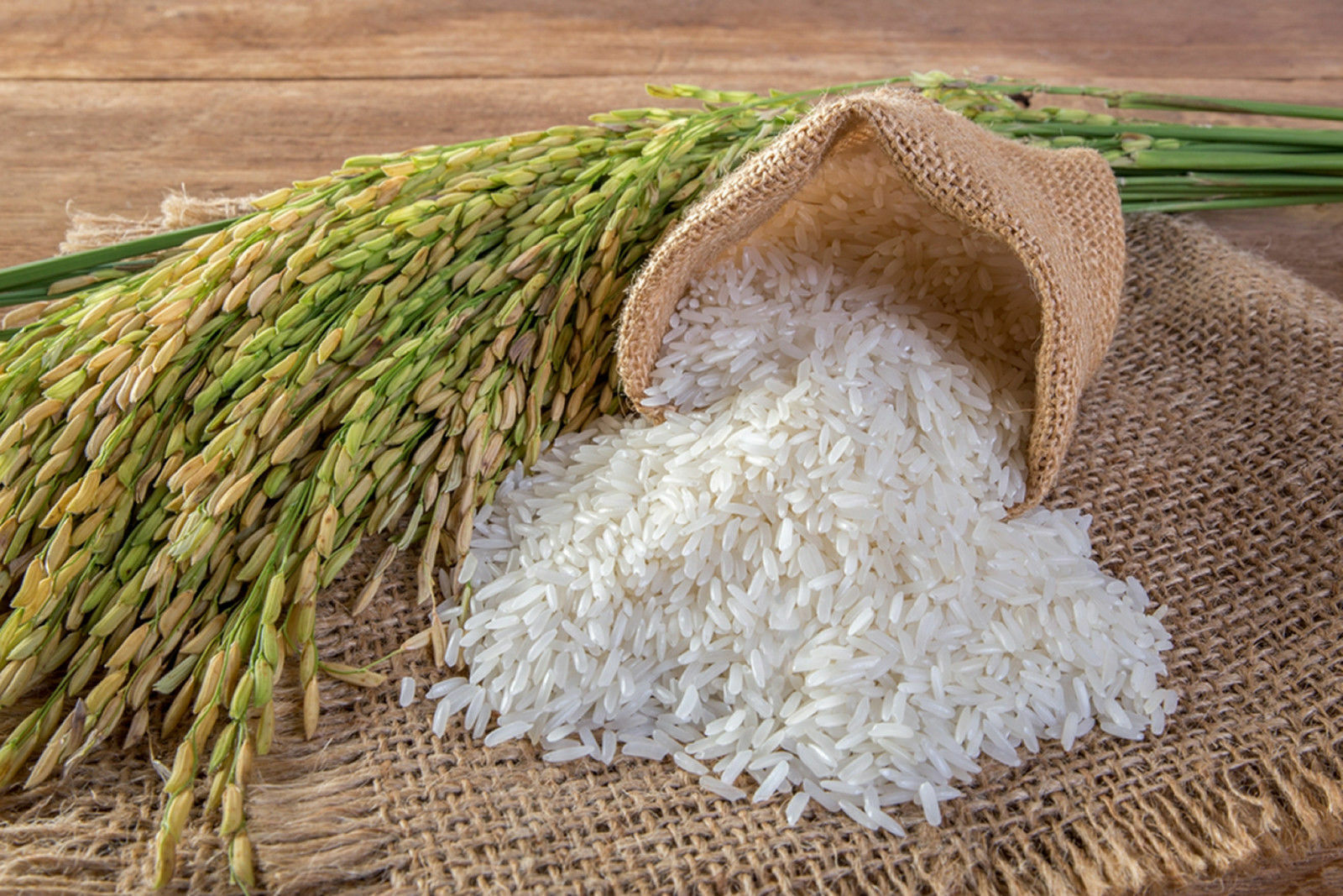 Hybrid Rice Seeds Market