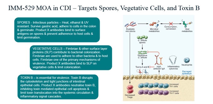 IMM-529 MOA in CDI - Targets Spores, Vegetative Cells, and Toxin B