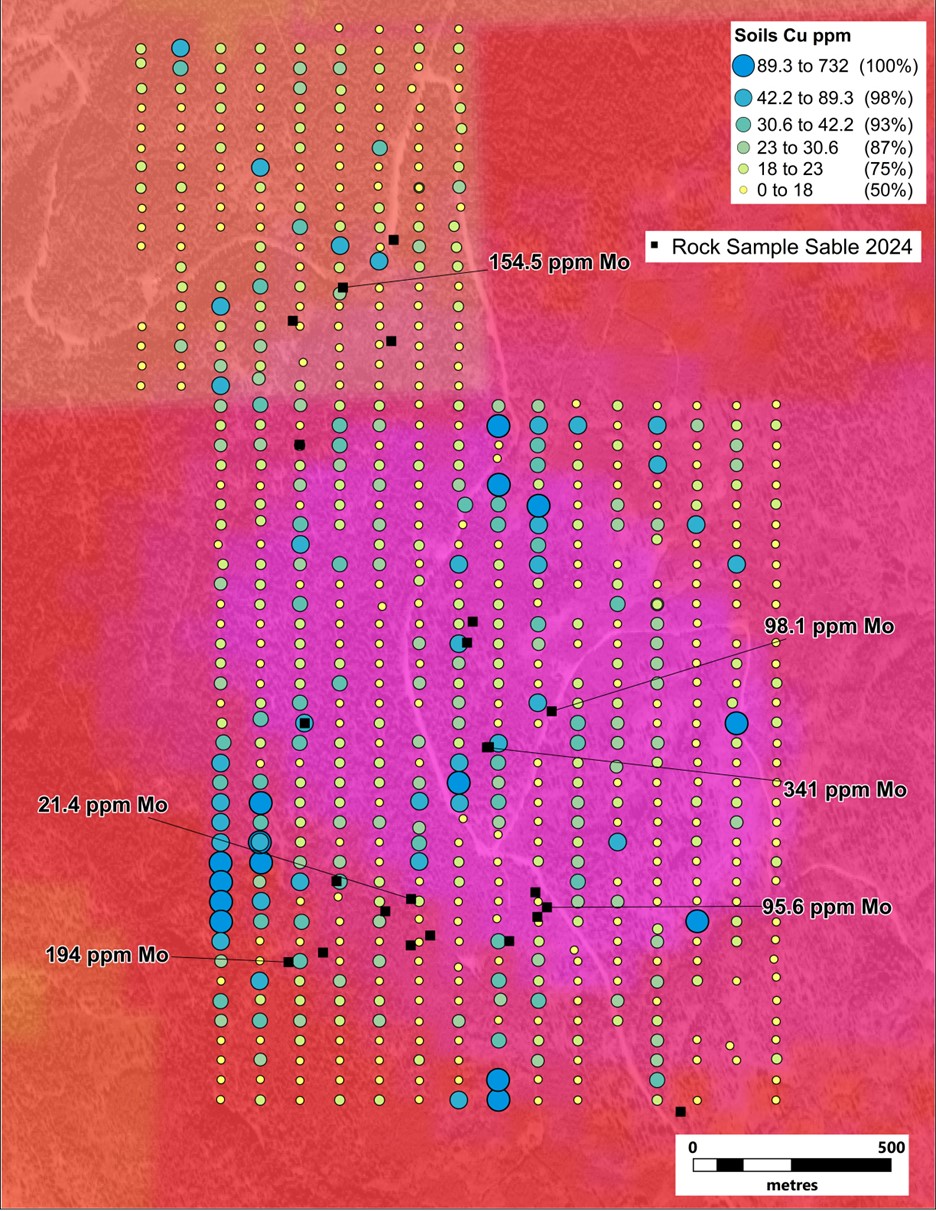 Distribution of Cu values from soil sampling at Copper Prince. Note the highlighted Mo values in rock samples and RTP magnetics in the background.