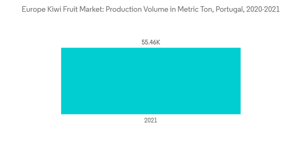 Europe Kiwi Fruit Market Europe Kiwi Fruit Market Production Volume In Metric Ton Portugal 2020 2021