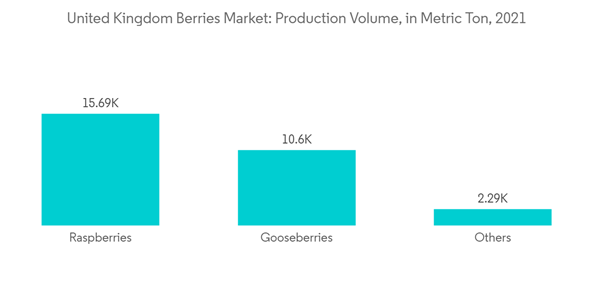 United Kingdom Berries Market United Kingdom Berries Market Production Volume In Metric Ton 2021