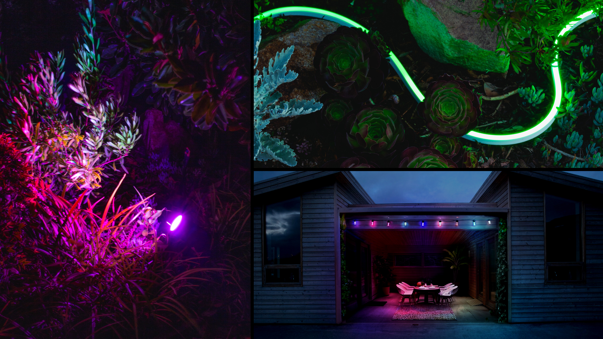 New outdoor string lights, landscape lights and neon flex lighting equipped with Polychrome Technology and LIFX industry leading color for brighter more vibrant backyards everywhere.