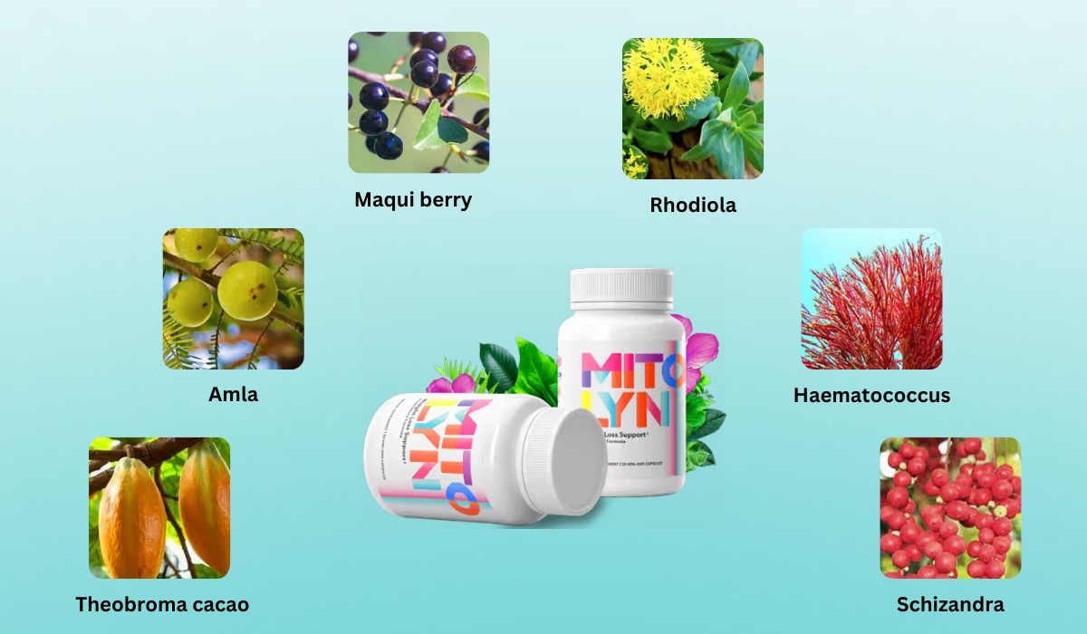 Mitolyn Ingredients