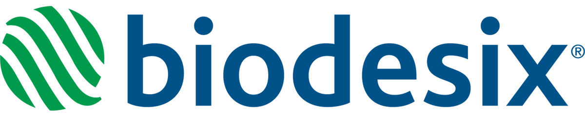 BDSX-logo - 1200x240.png