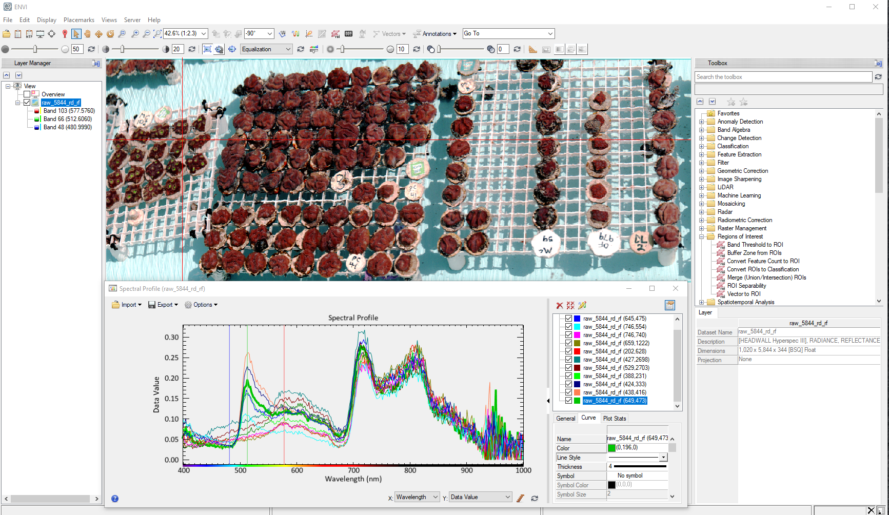 Hyperspectral signature of daylight fluorescence from coral growth plugs captured by a Headwall Nano HP sensor over water tanks at the Mote Marine Laboratory in Florida. Data from Headwall sensors is now even easier to move into ENVI for in-depth analysis, delivering precise and insightful results for a wide range of applications including environmental monitoring, precision agriculture, and industrial inspection.