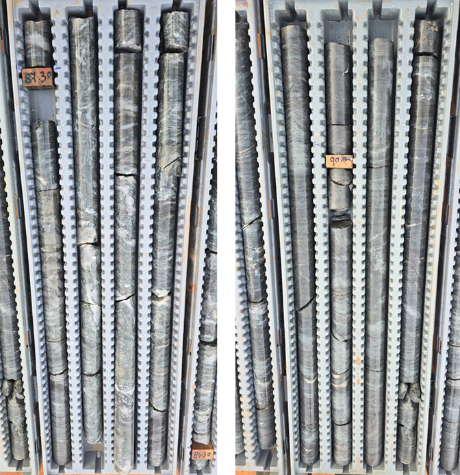 Figure 1.  image