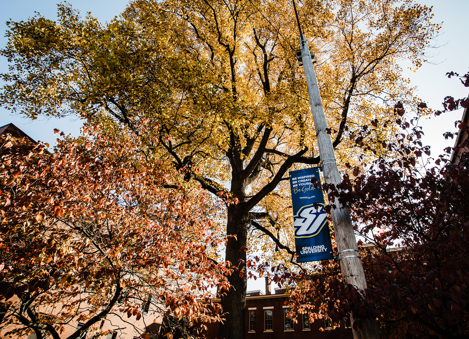 Spalding's online Master of Science in Business Communication is an alternative to an MBA with a focus on teaching communication, problem-solving and other “soft skills” necessary to succeed in the workplace. Spalding offers the following concentrations for its online MSBC: Accounting, Healthcare Management, Human Resource Management, Organizational Leadership and Sports Management. The GRE or GMAT is not required to apply. // Photo courtesy of Spalding University