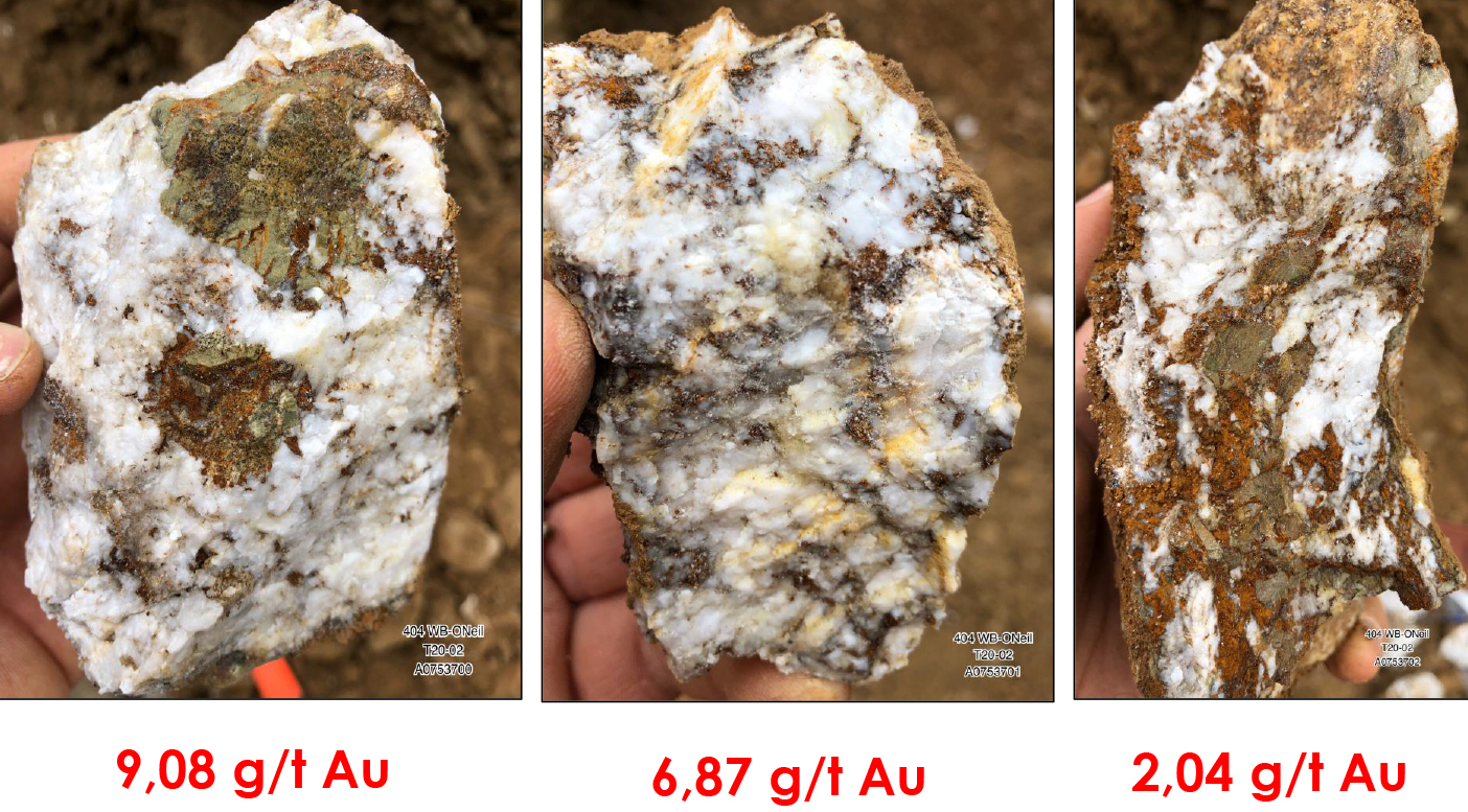 Figure 2: Pictures of the Samples Collected at the Lynx Showing