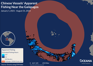 Oceana Analysis: Chinese Vessels' Apparent Fishing Near the Galapagos