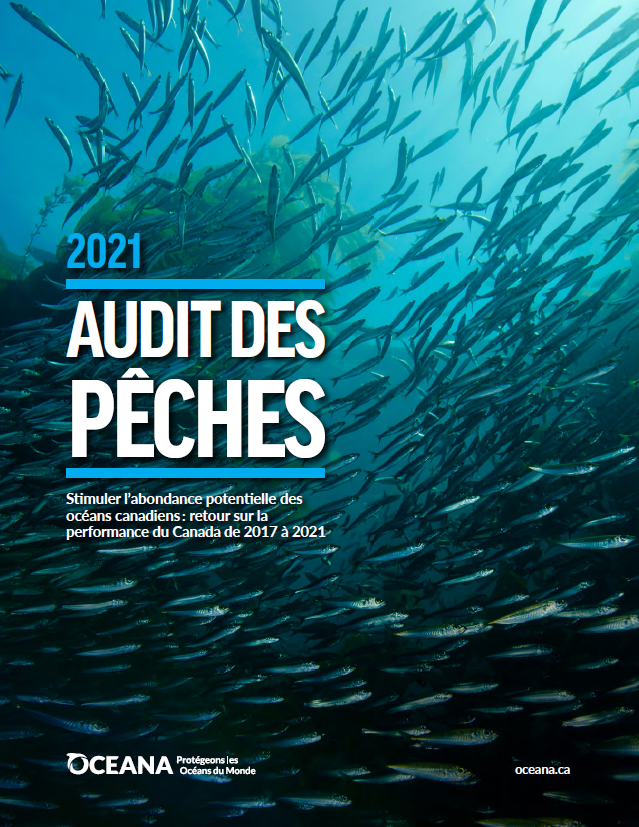 AUDIT DES PÊCHES