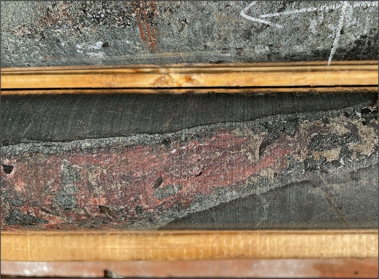 Discrete phoscorite carbonatite vein <percent>1.7%</percent> TREO at 366.8 m in drill hole HK22-013. The vein is cored by pink apatite, and cuts fenitized ijolite porphyry host rock, with large books of hydrothermal biotite and sulfide with trace amounts of chalcopyrite. Within the apatite vein are mm-scale crystals of monazite and parasite which contribute to the <percent>1.7%</percent> TREO grade within this 1m sample. At top of frame is a grey-green phoscorite with smaller biotite crystals; there are no observed differences in grade or mineralogy between the two styles of REE mineralization.