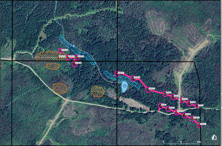 Figure 3 image