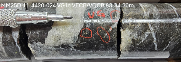 Figure 2. Visible gold showings in hole MM25D-11-4420-024 image