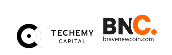 Techemy Capital and BNC Logo.png