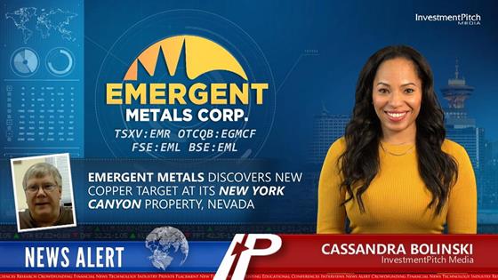Emergent Metals discovers new copper target at its New York Canyon Property, Nevada: Emergent Metals discovers new copper target at its New York Canyon Property, Nevada