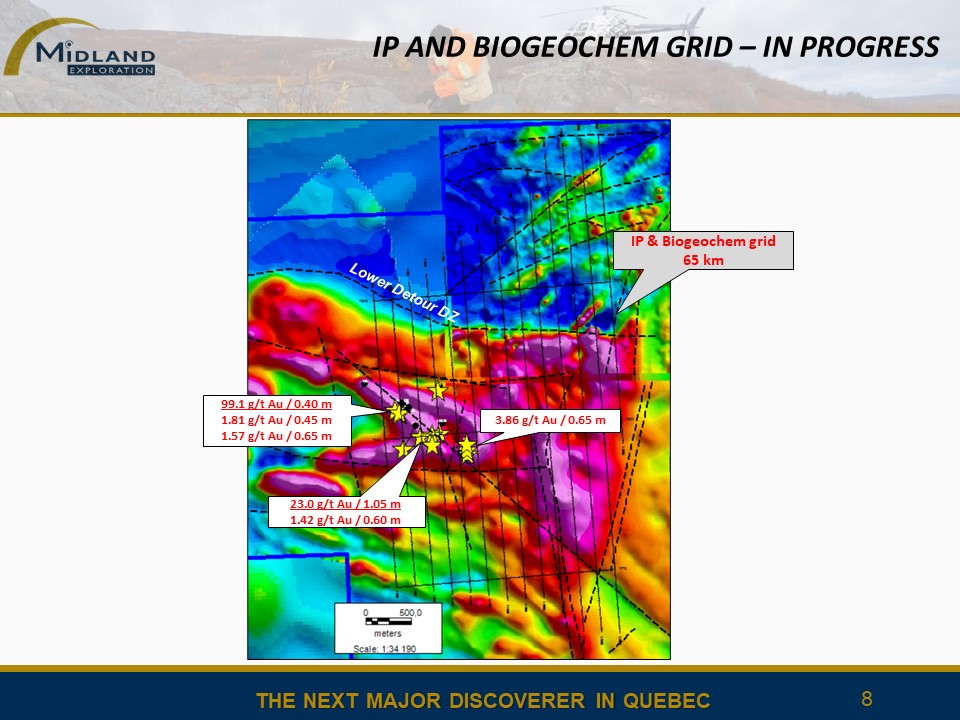 Figure 8 IP and biogeochemical grid