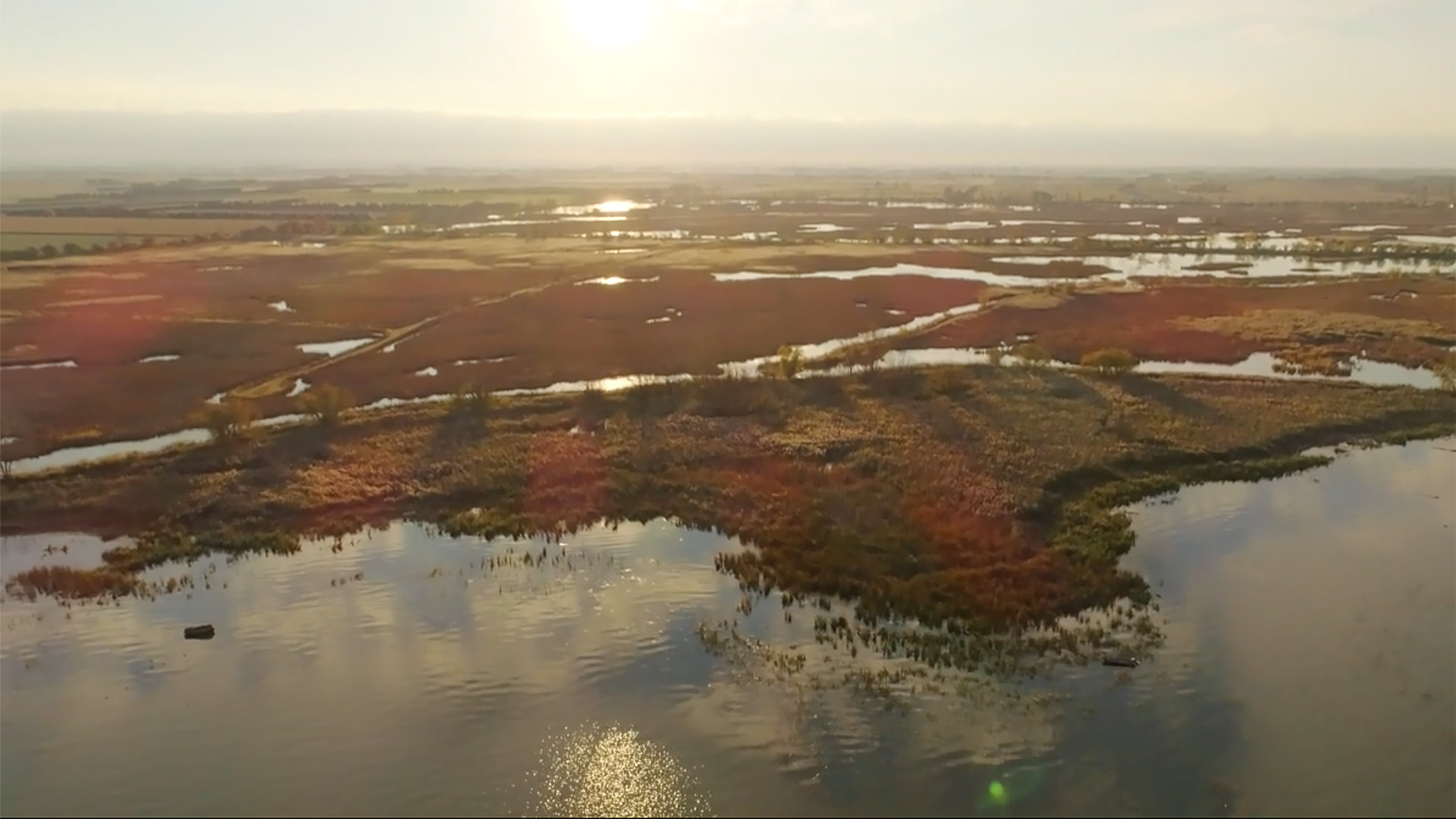 A coastal gem protected in perpetuity, St. Luke’s Marsh spans 488 acres (197 hectares) and includes coastal shoreline, provincially significant coastal wetlands and other mixed wildlife habitats. It’s part of an extensive system of significant migratory stopover areas for waterfowl around the lower Great Lakes.