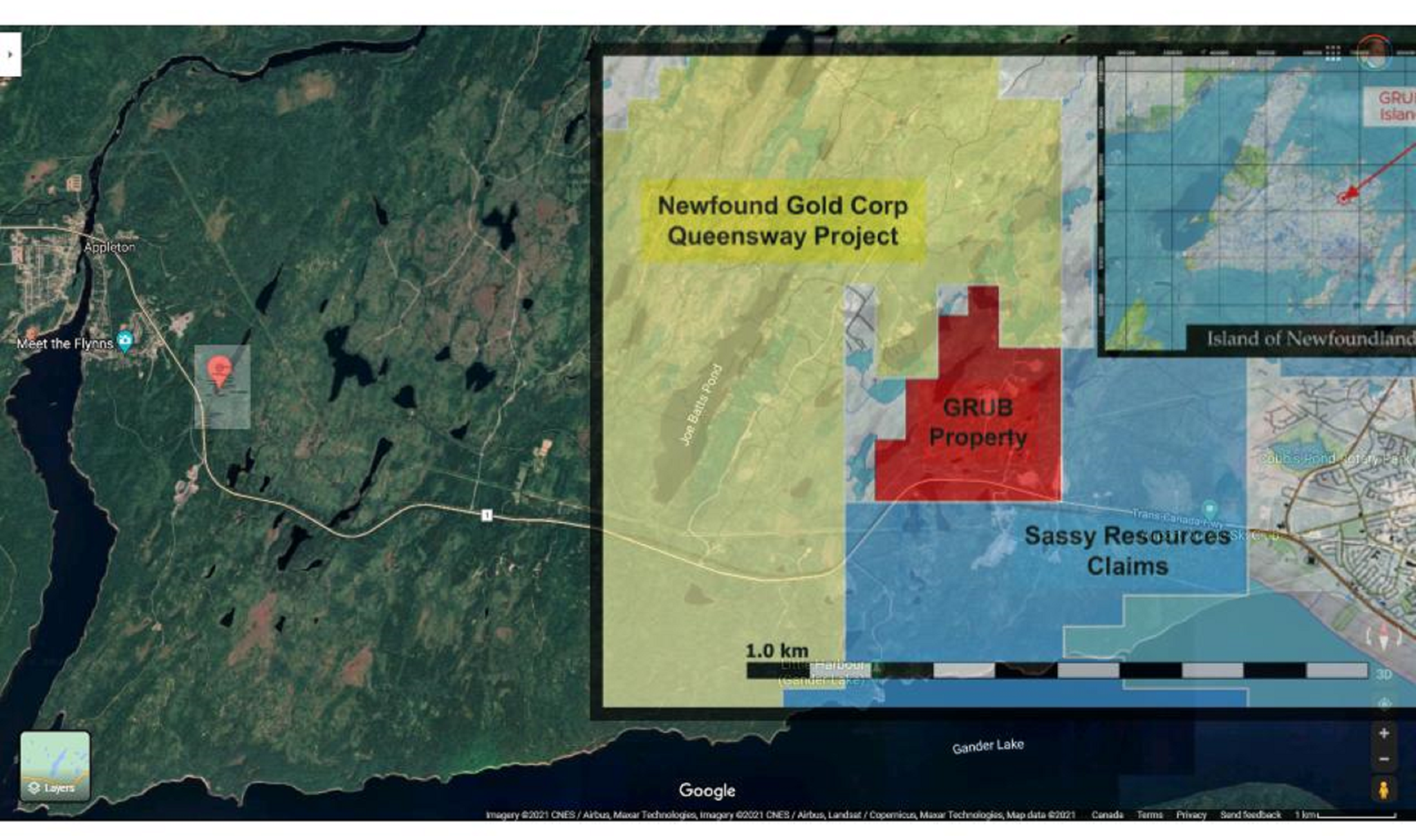 Location of the Grub Line Property adjacent to New Found Gold Corp. Queensway property