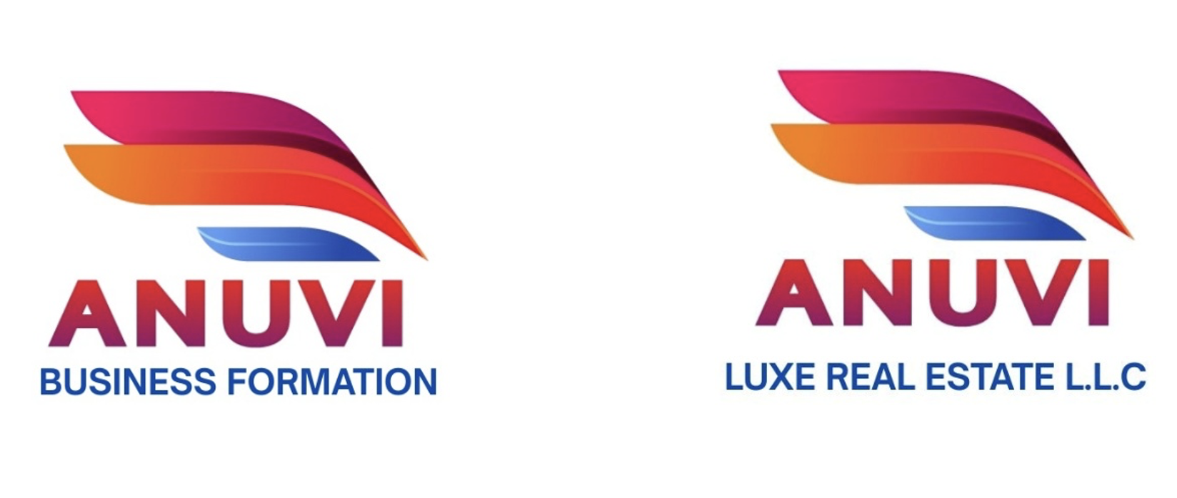 Anuvi Business Formation
