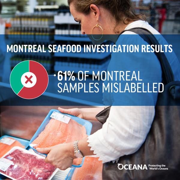 61% of Montreal seafood samples mislabelled