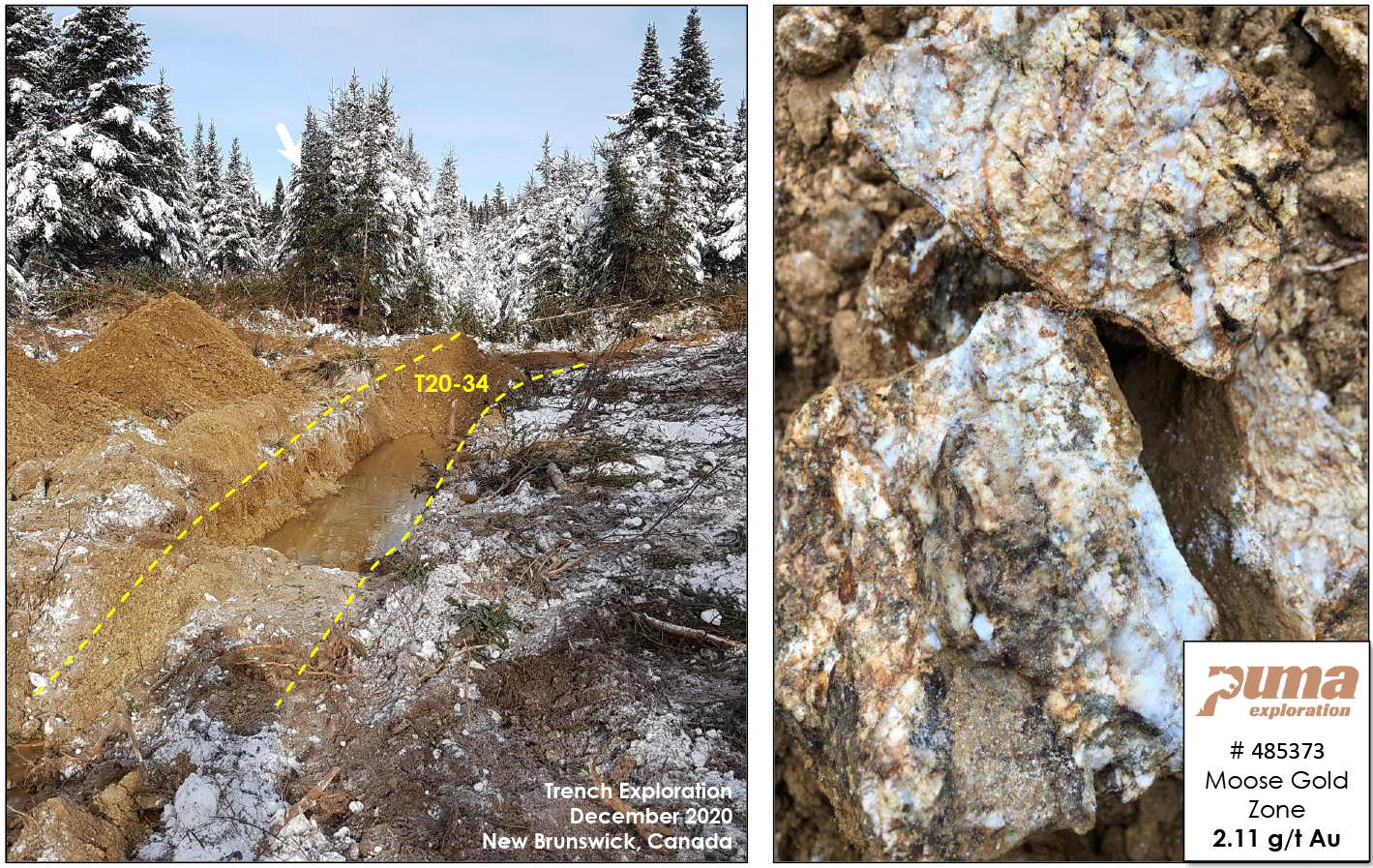 Figure 5: The Moose Gold Zone