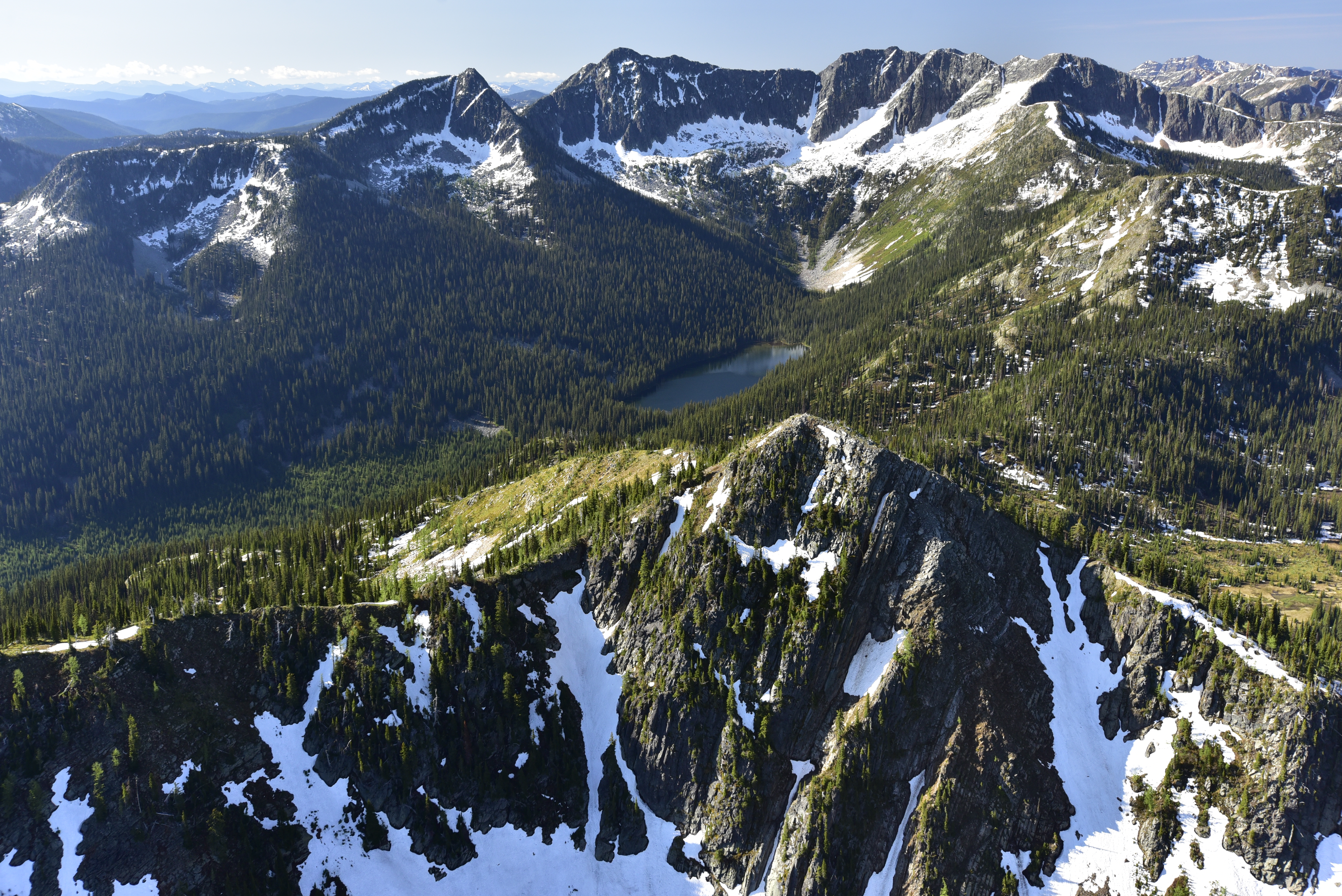 Darkwoods Forestry Conservation Project