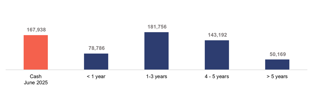 Debt Amortization Timeline (US$ thousand) 
