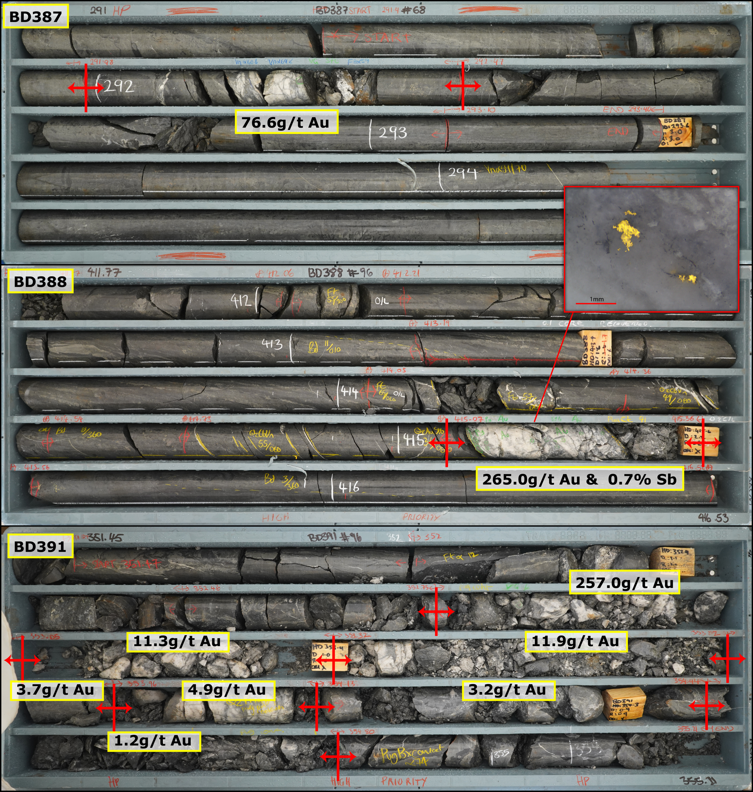 Figure 3 image