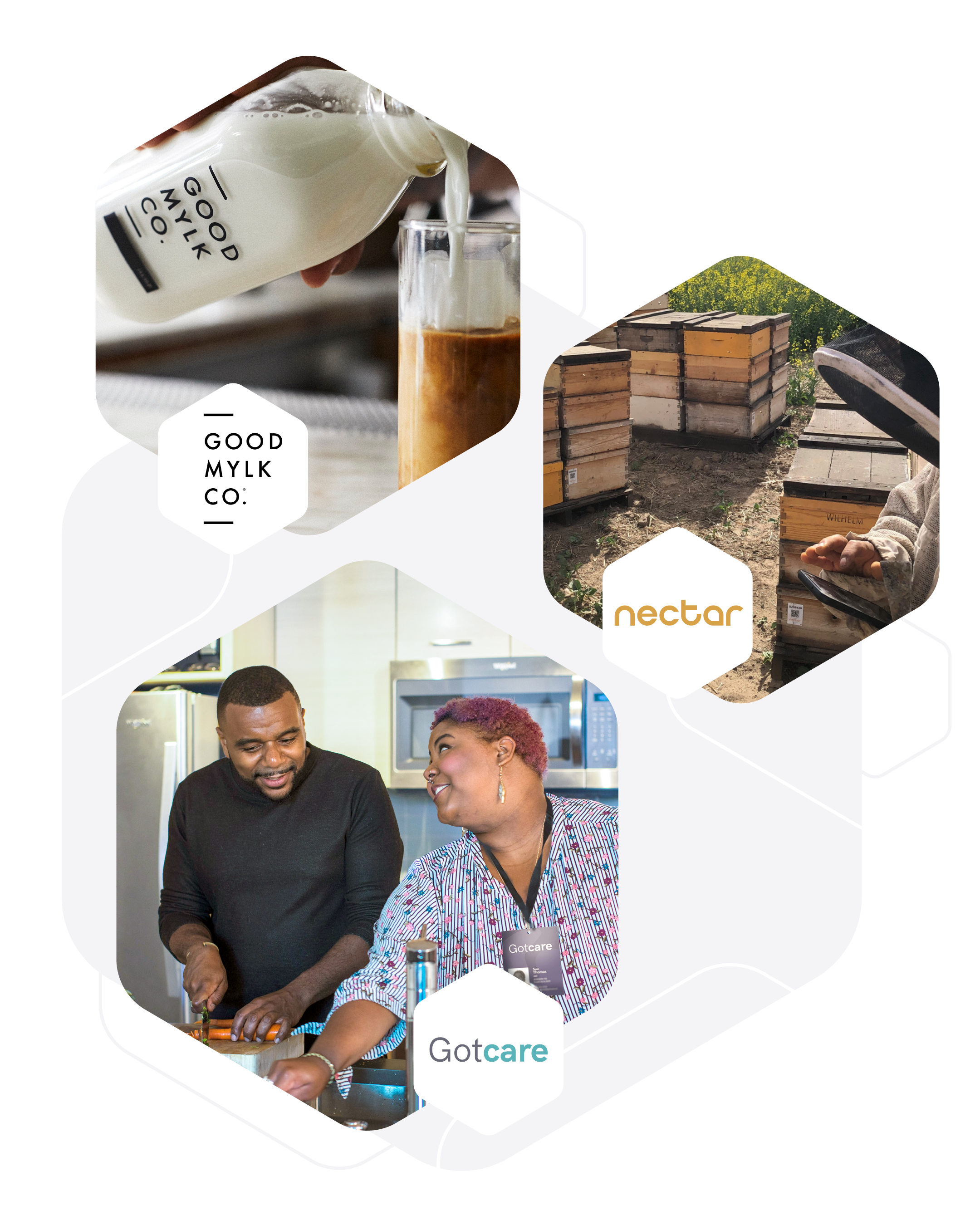 The $100M TELUS Pollinator Fund for Good