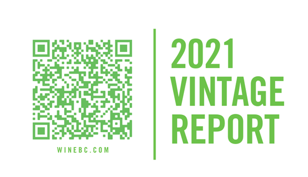 View the BC Wine Grape 2021 Vintage Report