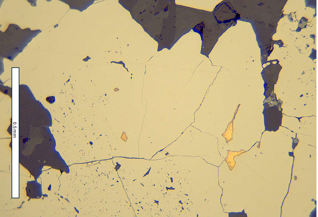Several grains of gold in the outer part, poor in inclusions, of pyrite.