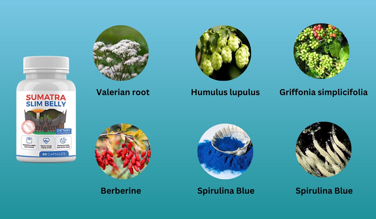 Sumatra Slim Belly Tonic Ingredients