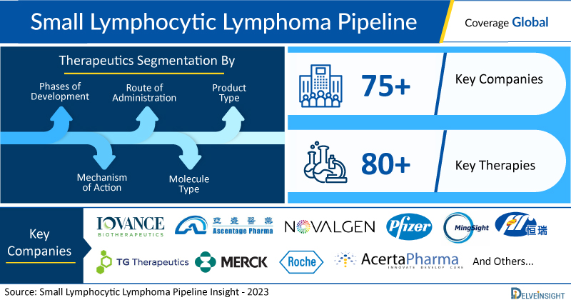 Propulsion of Small Lymphocytic Lymphoma Clinical Trial Pipeline as Novel and Extensive 80+ Therapies Likely to Enter in the Domain | DelveInsight