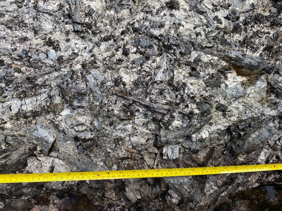 Abundant blue-grey spodumene crystals in Riches Pegmatite, Georgina Properties.