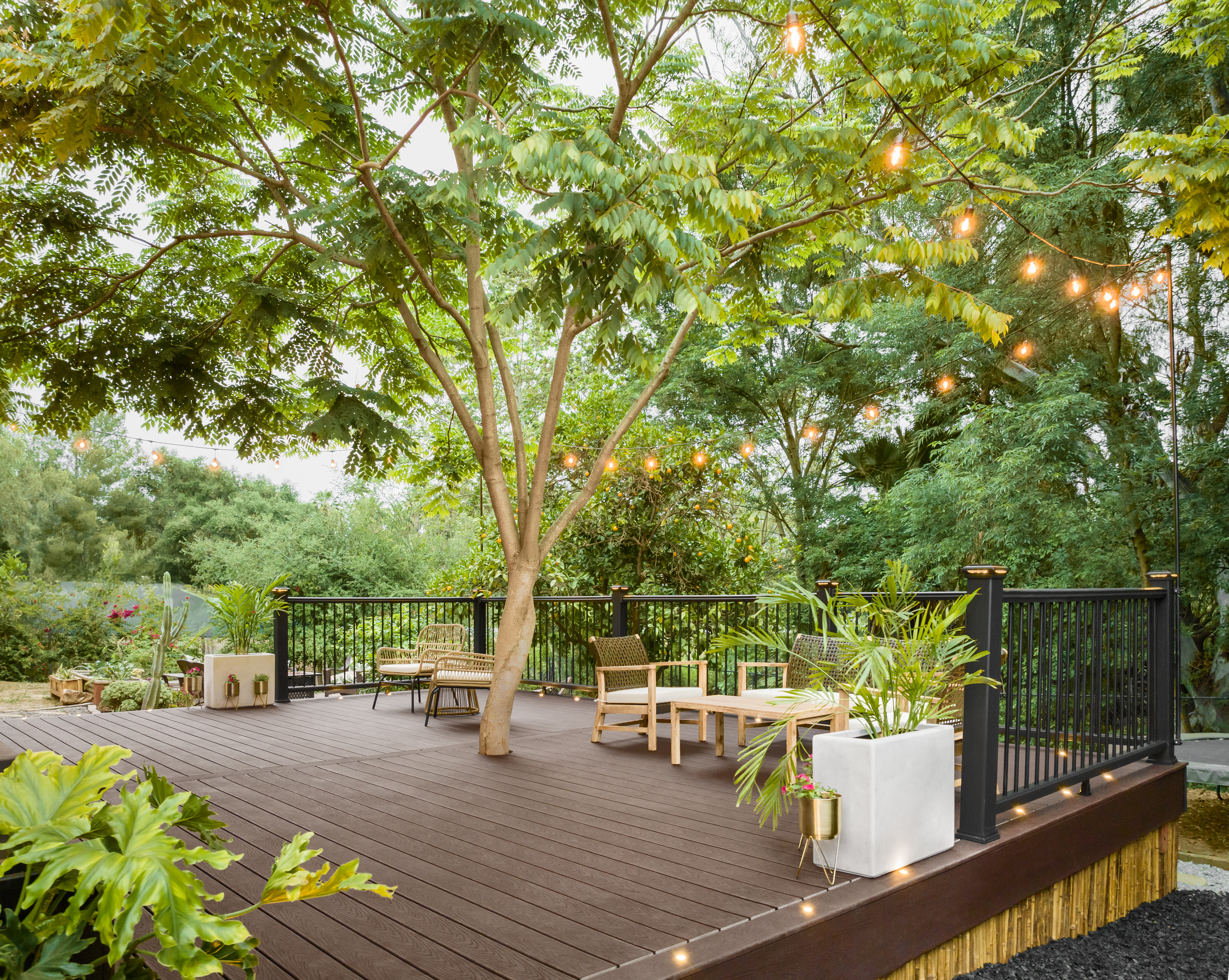 sel-alex-nye-012-wb-trn-railing-cb-lighting-fascia-trexmoments-social-contest-winner-tree-beauty-backyard-green