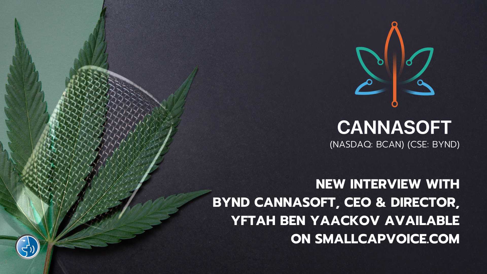 BYND Cannasoft Enterprises CEO Discusses Marijuana Reform and Corporate Advancements in Audio Interview with SmallCapVoice.com