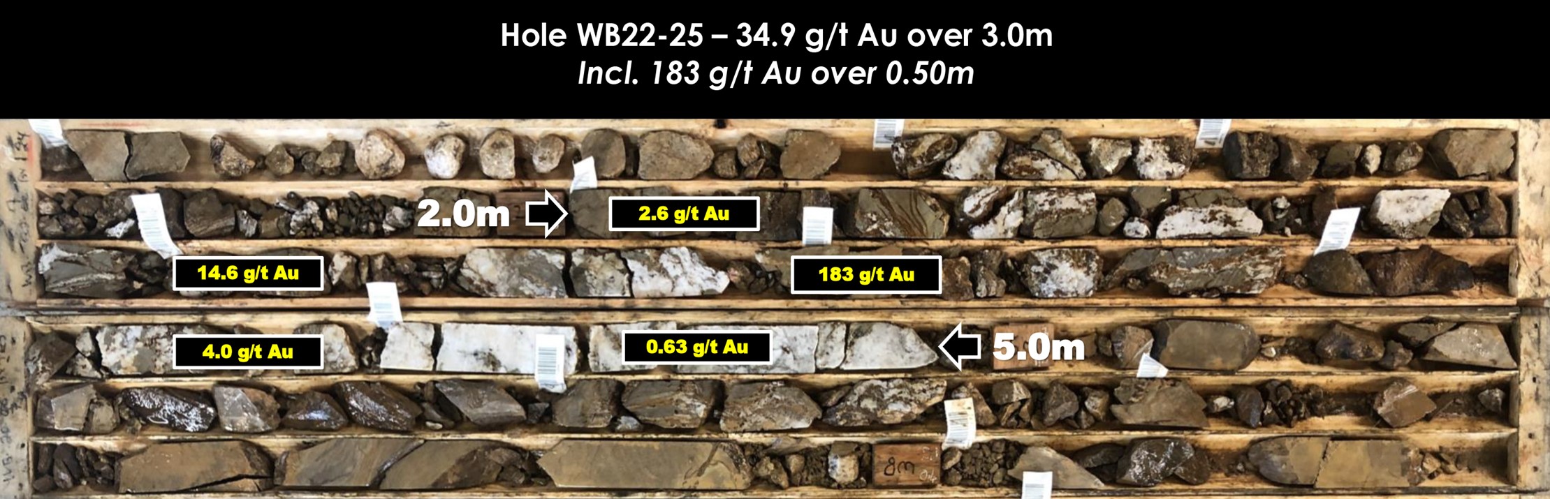 Figure 2. Example of pervasive alteration and mineralization