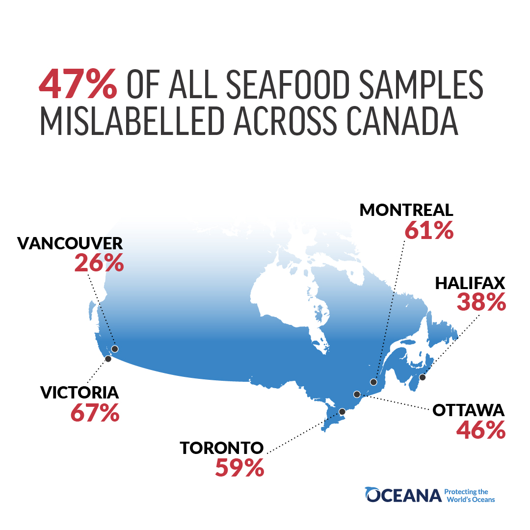 47% of seafood samples mislabelled