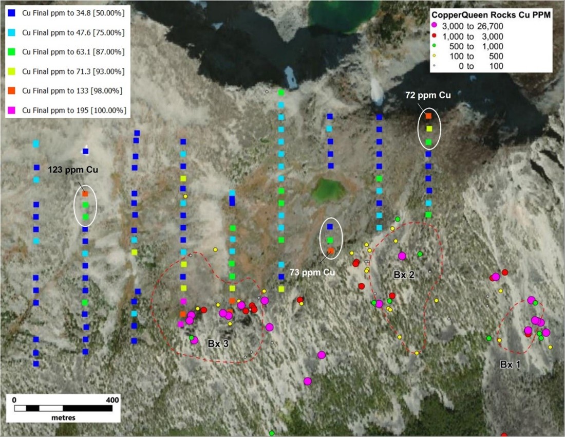 Location and Cu results for soil samples collected north of breccias 3 and 2. Multiple anomalous samples coincide with the extension of breccia 3 with at least three anomalous zones (shown circled in white) potentially indicating new mineralized zones beneath soil cover.