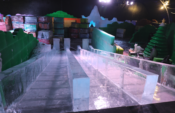 Ice Slides in ICE LAND at Moody Gardens 