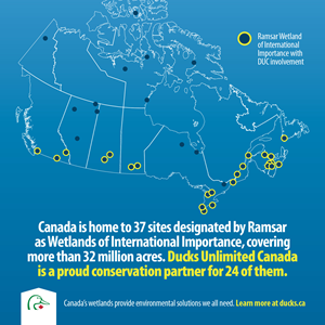 Canada is home to 37 sites designated by Ramsaras Wetlands of International Importance, coveringmore than 32 million acres. Ducks Unlimited Canadais a proud conservation partner for 24 of them.