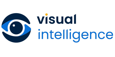 About Visual Intelligence