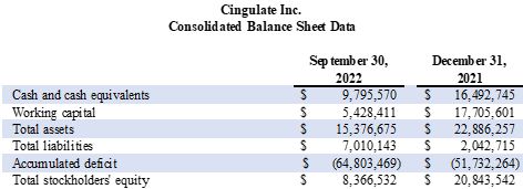 Consolidated Balance Sheet Data