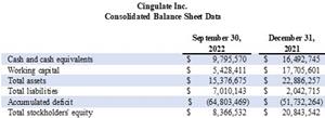 Consolidated Balance Sheet Data