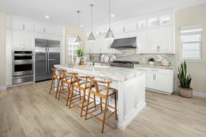 Toll Brothers Regency at Tracy Lakes 