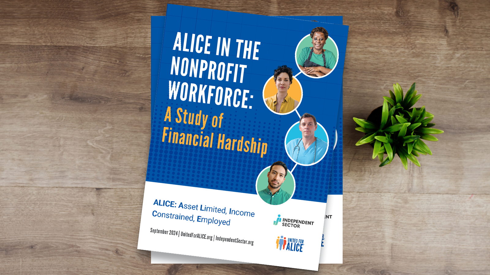 ALICE in the Nonprofit Workforce: A Study of Financial Hardship report