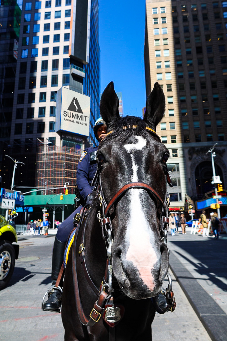 NYPD Officer